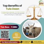 Top Benefits of Tula Daan: Perform Tula Daan at Krishna Dham Gaushala