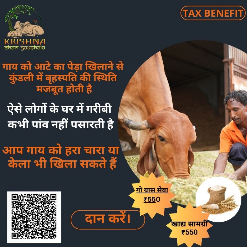 गाय को गुड़ रोटी खिलाने के फायदे - Benefits of feeding Cow