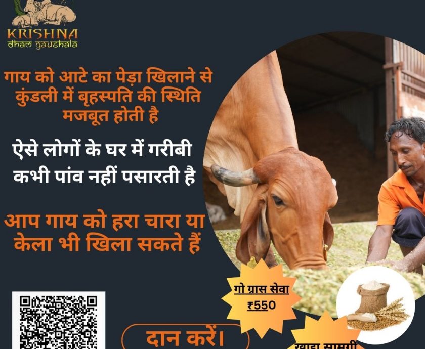 गाय को गुड़ रोटी खिलाने के फायदे - Benefits of feeding Cow