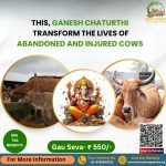 This Ganesh Chaturthi, Transform The Lives of Abandoned and Injured Cows