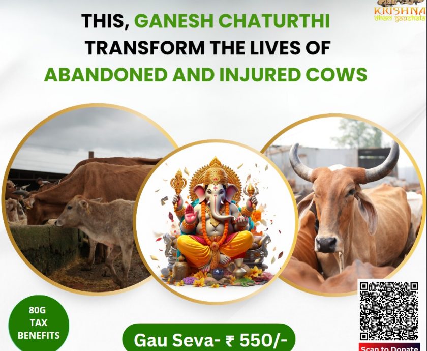 Do Gau Seva on this Ganesh Chaturthi