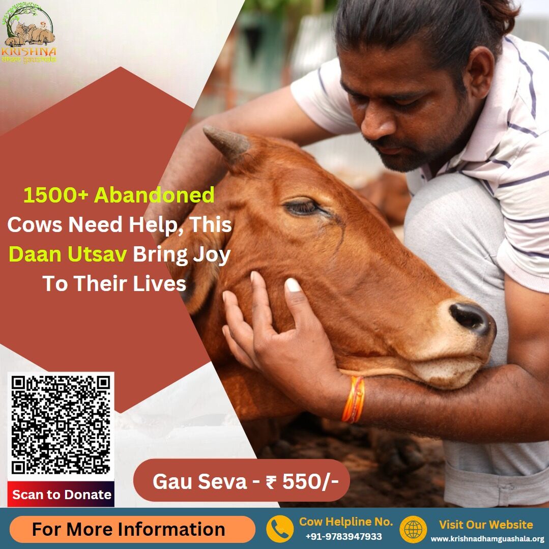 Gau Seva on Daan Utsav