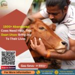 1500+ Abandoned Cows Need Help, This Daan Utsav Bring Joy To Their Lives