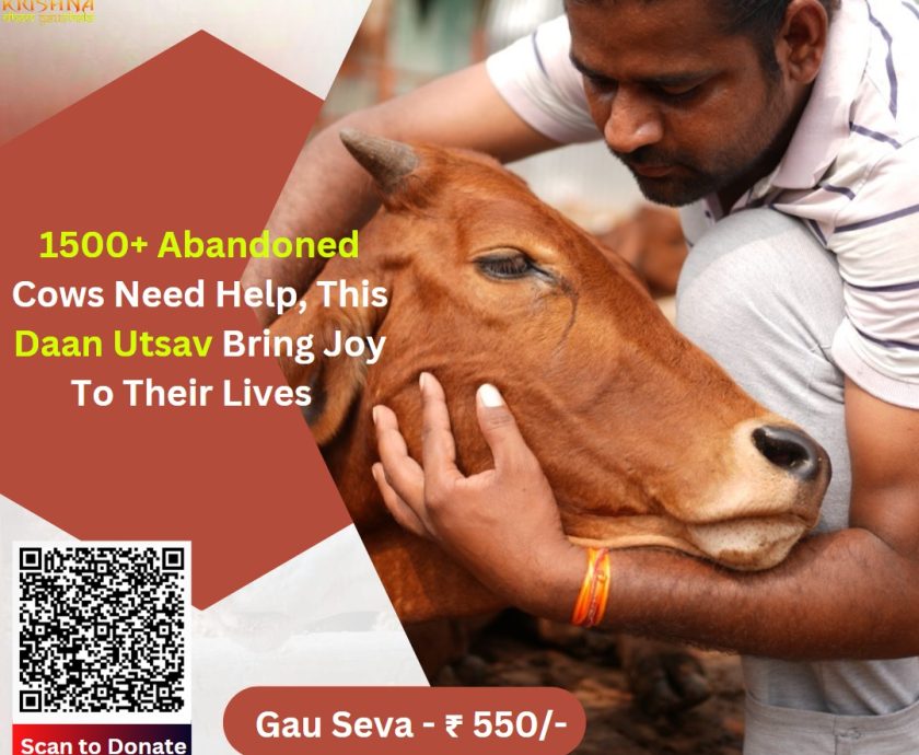 Gau Seva on Daan Utsav