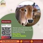 Honor your ancestors' souls and liberate them by performing Gau Seva on Pitru Paksha