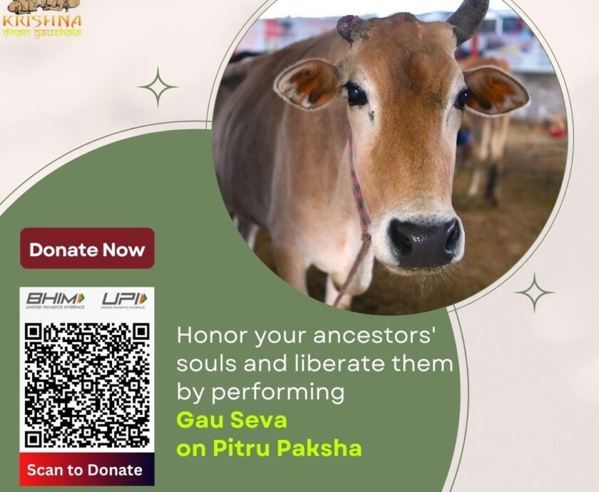 Gau Seva on Pitru Paksha