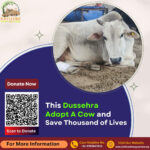 Adopt a Cow on Dussehra - Online Cow Donation in India