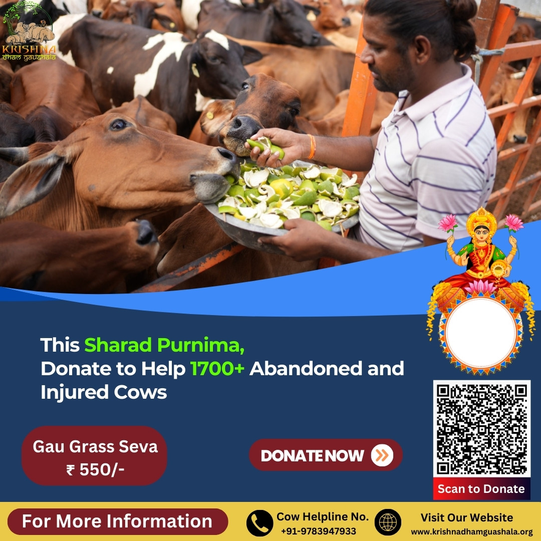 Cow Donation on Sharad Purnima