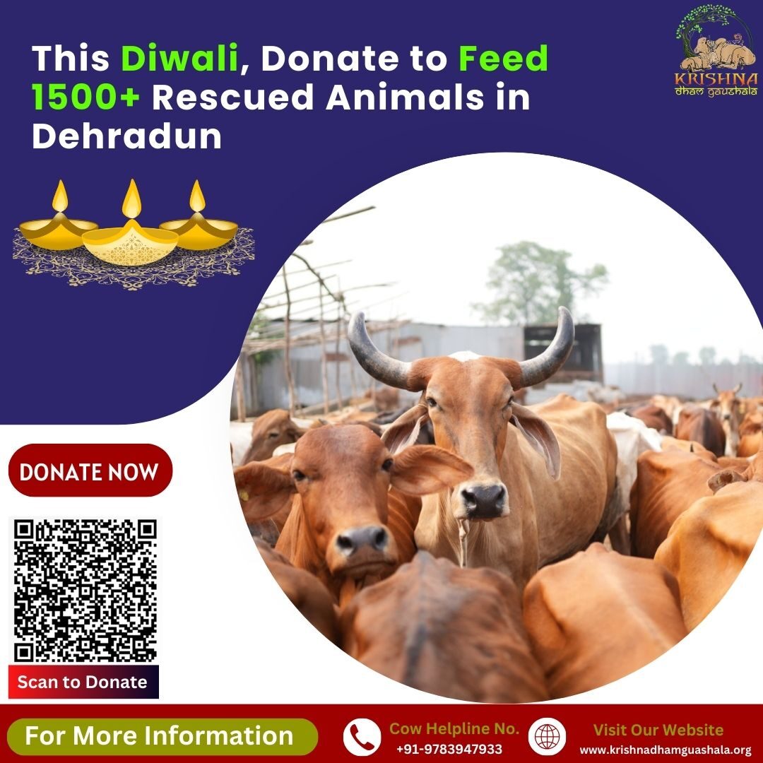 Diwali Donation For Cow Feed-A