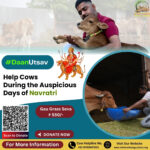 How does Cow hold a Special Place with Goddess Durga and Navratri ?