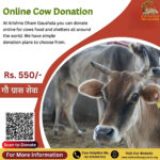 Online Cow Donation – Gaushala donation for cows in Dehradun