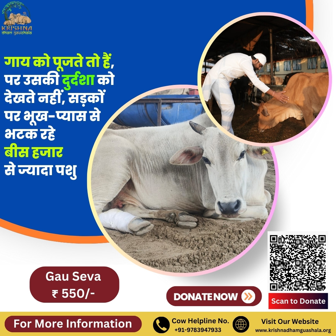 Save Cows in Uttarakhand