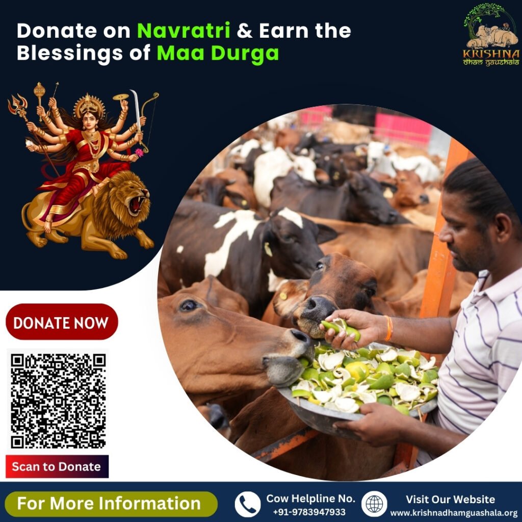 Donate on Chaitra Navratri