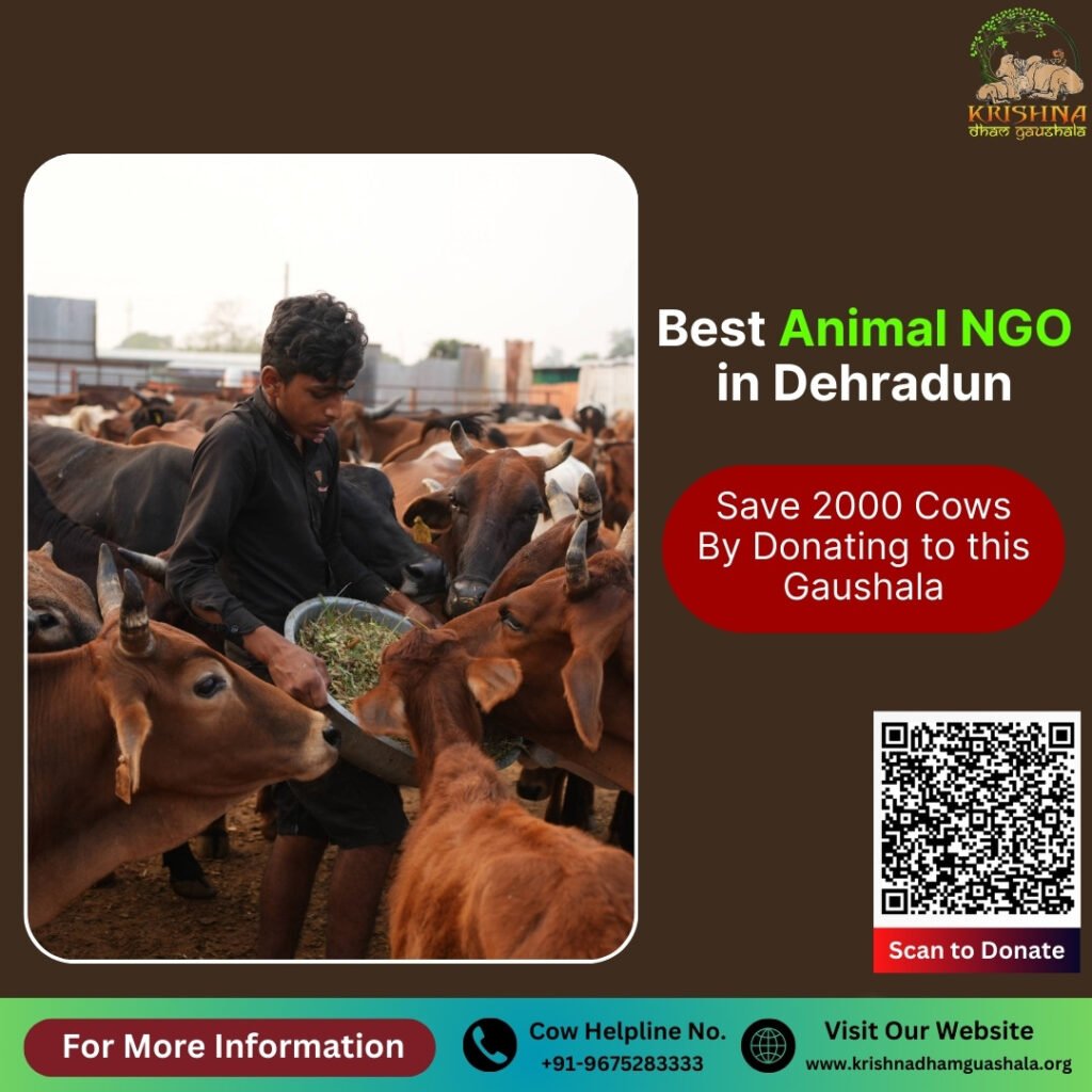 Animal NGO in Dehradun