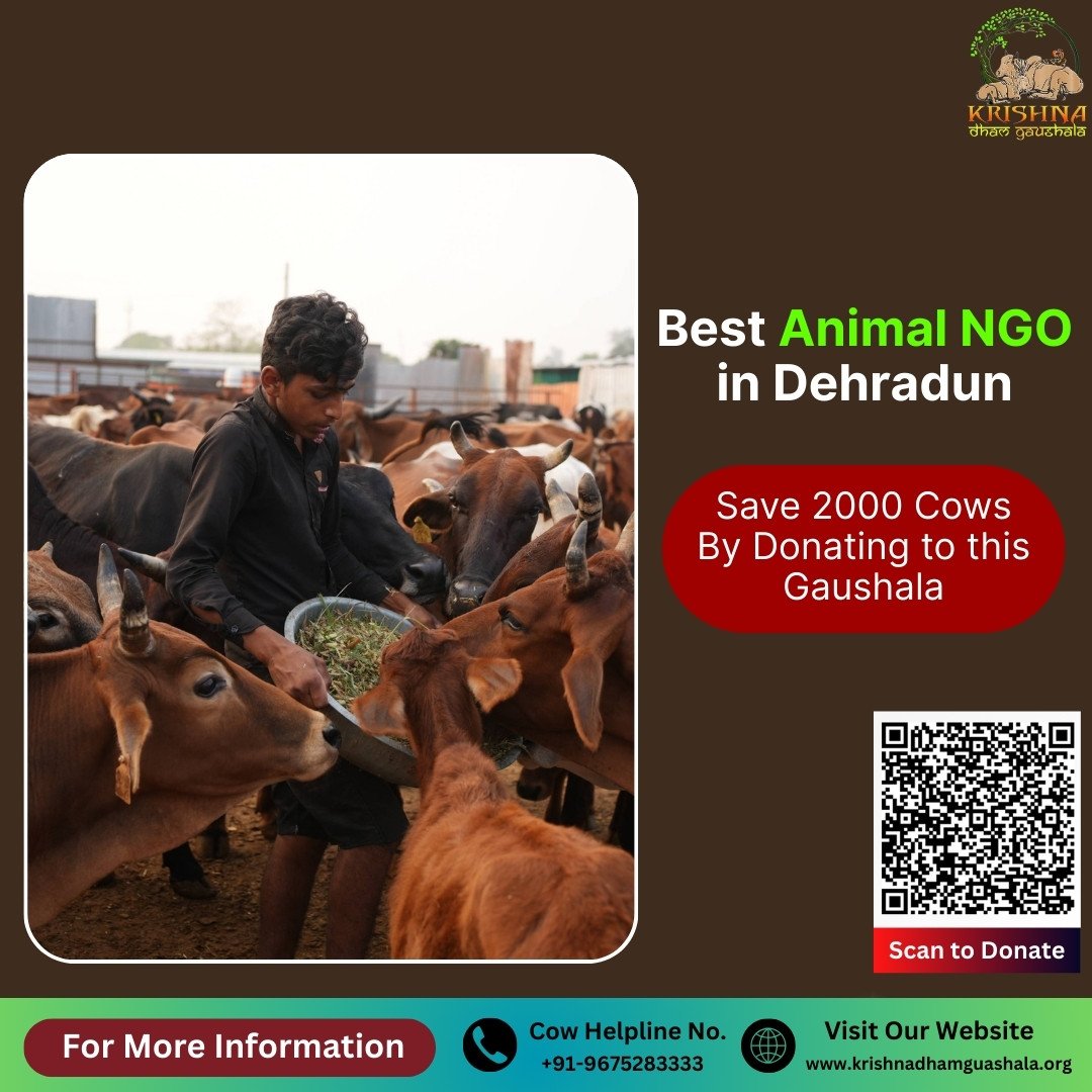 Animal NGO in Dehradun