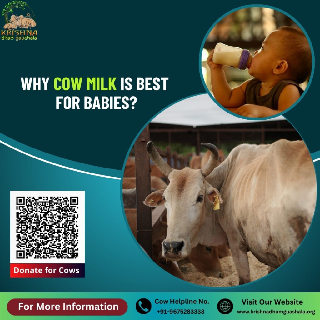 Benefits of Cow Milk for Infants