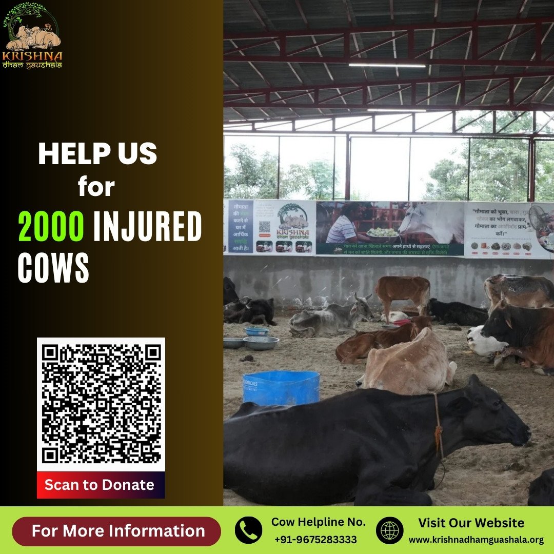 Gaushala Donation