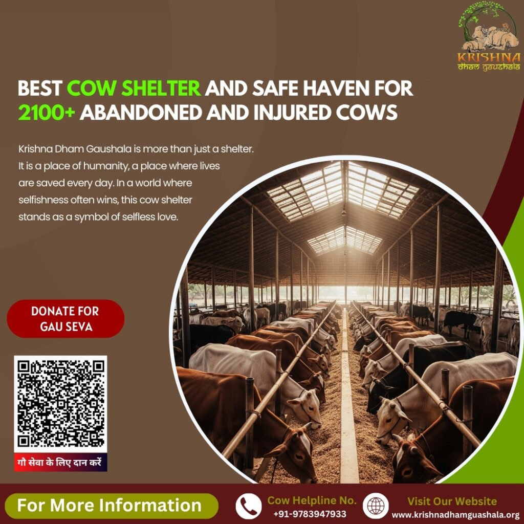 Cow Shelter, gaushala