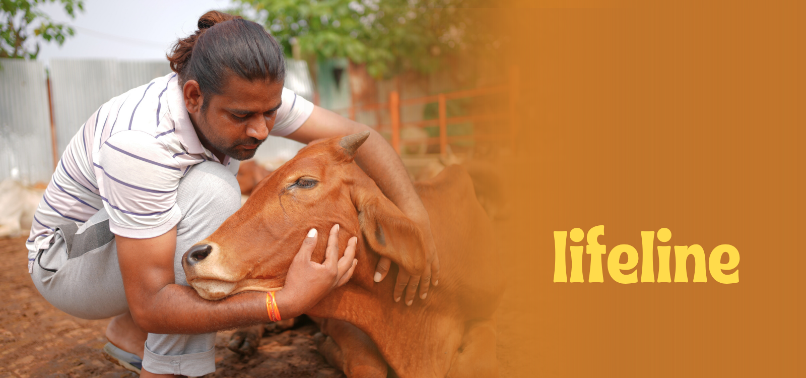 Masik Shivratri Gau Seva – Serve Shiva Through Gaumata’s Blessing
