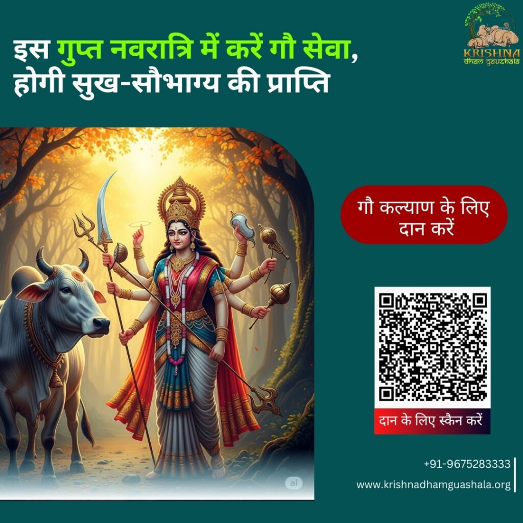 Gupt Navratri Daan
