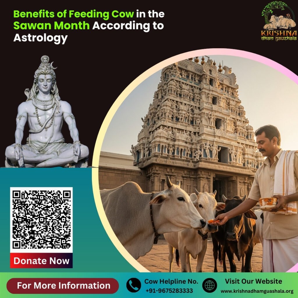 Benefits of Feeding Cow in Sawan Month