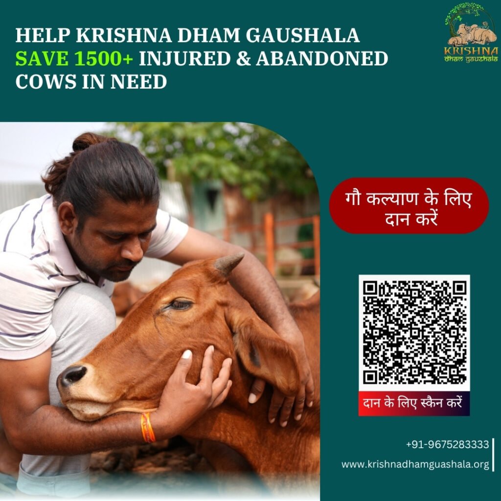 Donate Online to Charity