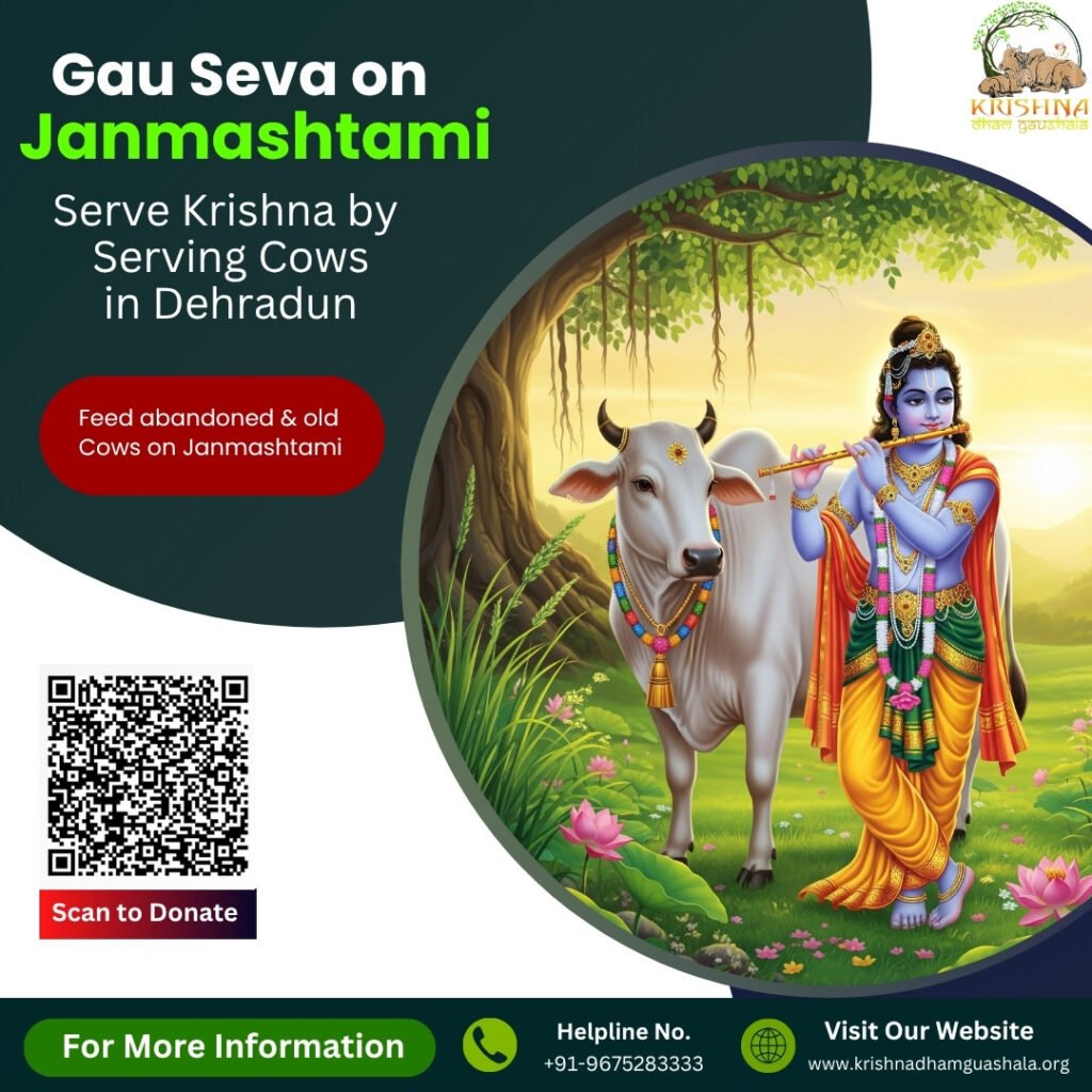 Gau Seva on Janmashtami