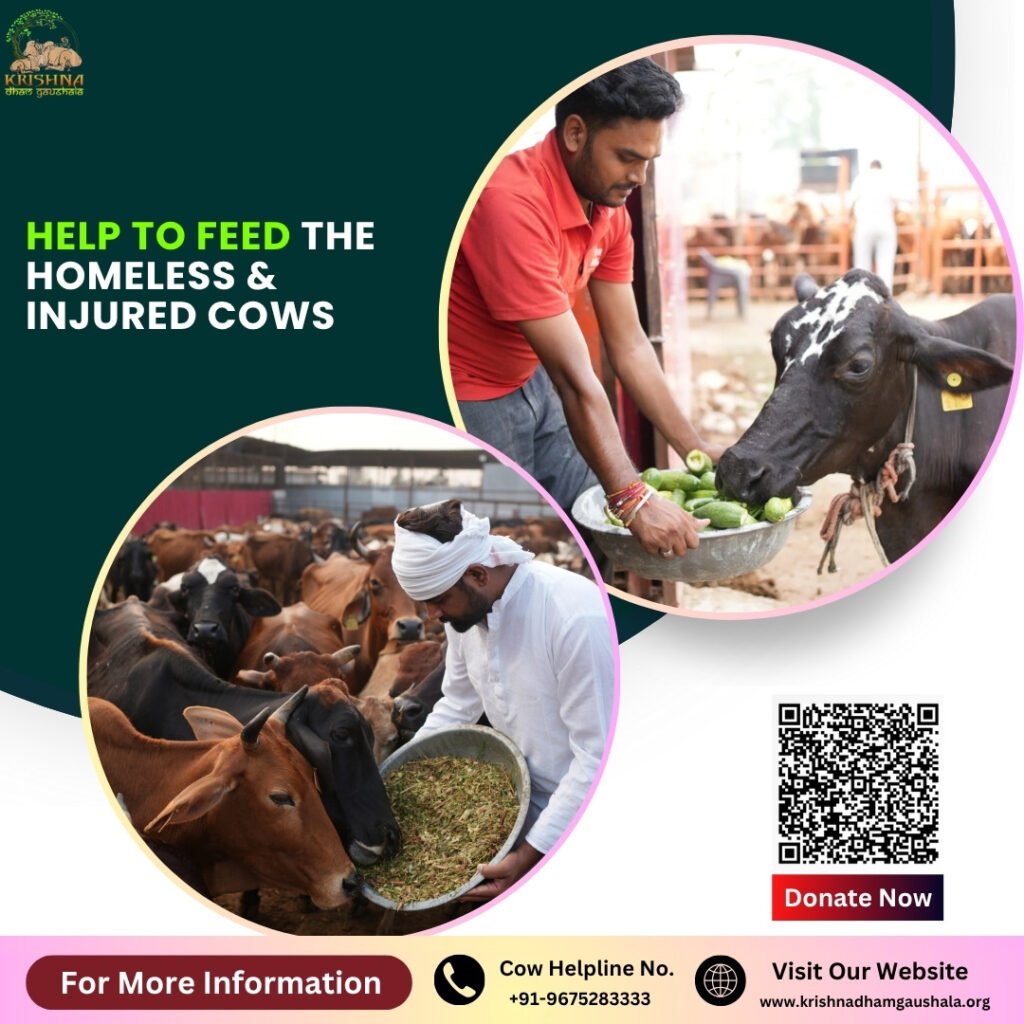 Help To Feed The Homeless