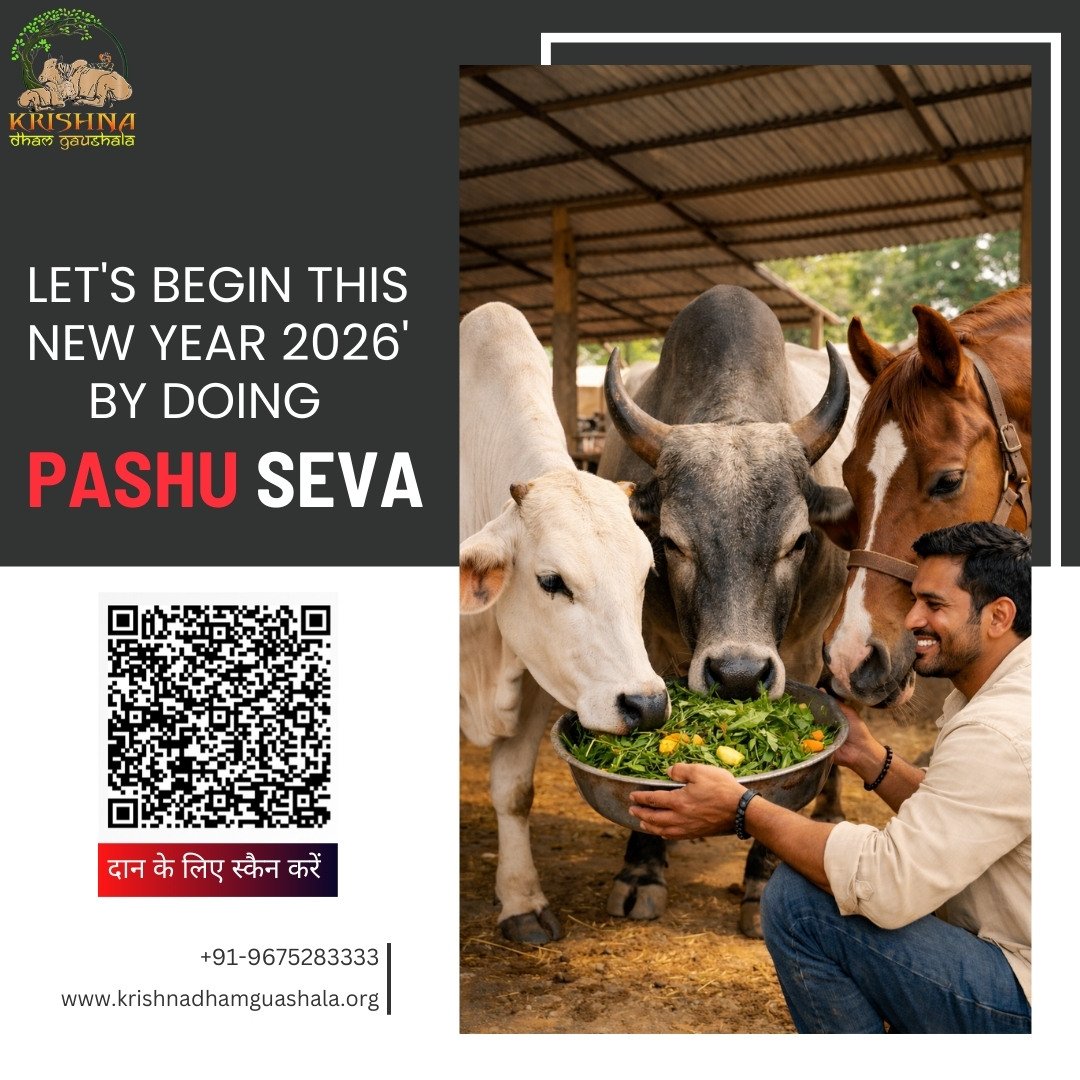 Pashu Seva with Krishna Dham Gaushala
