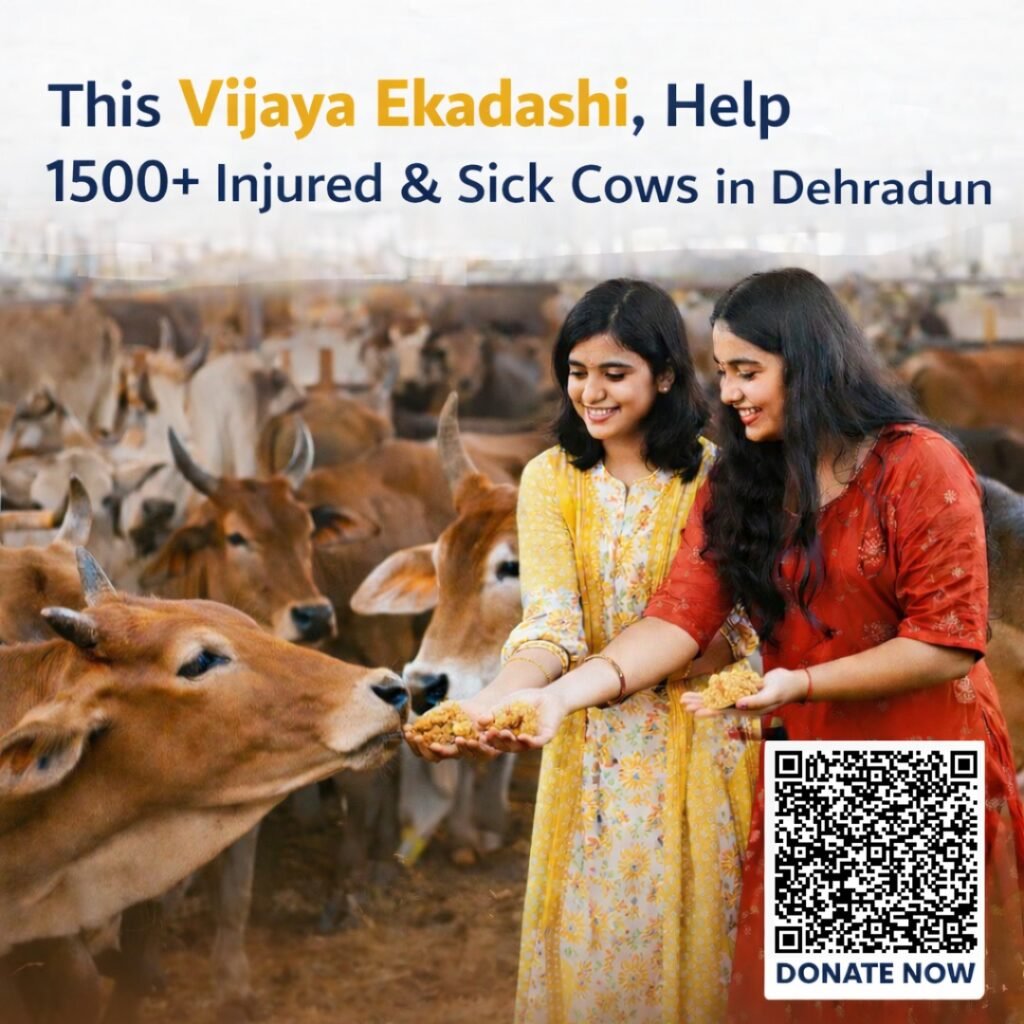 Donate on Vijaya Ekadashi at Krishna Dham Gaushala