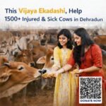 Donate on Vijaya Ekadashi at Krishna Dham Gaushala