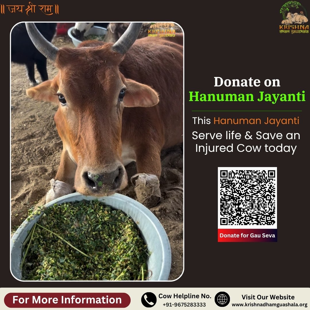 What to Donate on Hanuman Jayanti