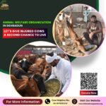 Best Animal Welfare Organization