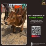 Gau Seva Benefits on Akshya Tritiya