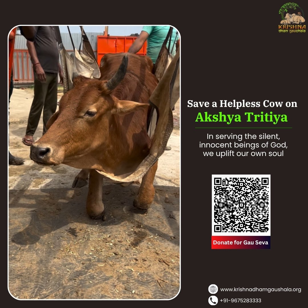 Gau Seva Benefits on Akshya Tritiya