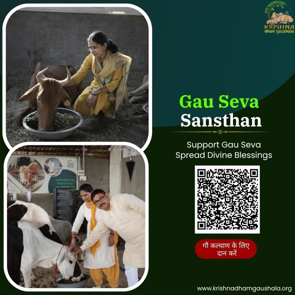 Best Gau Seva Sansthan in Dehradun