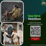 Best Gau Seva Sansthan in Dehradun