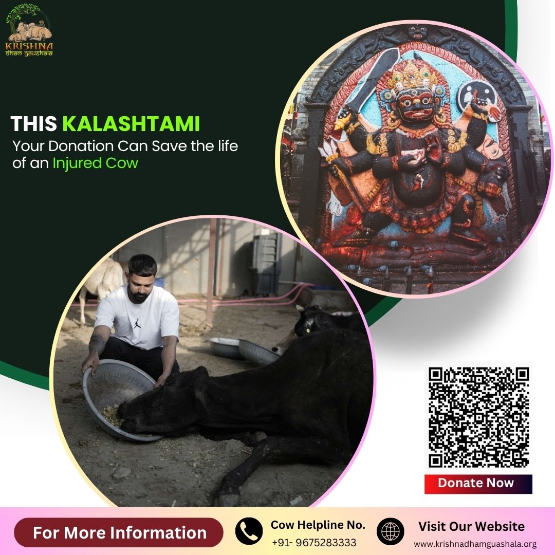Donate for Gau Seva on Auspicious Kalashtami