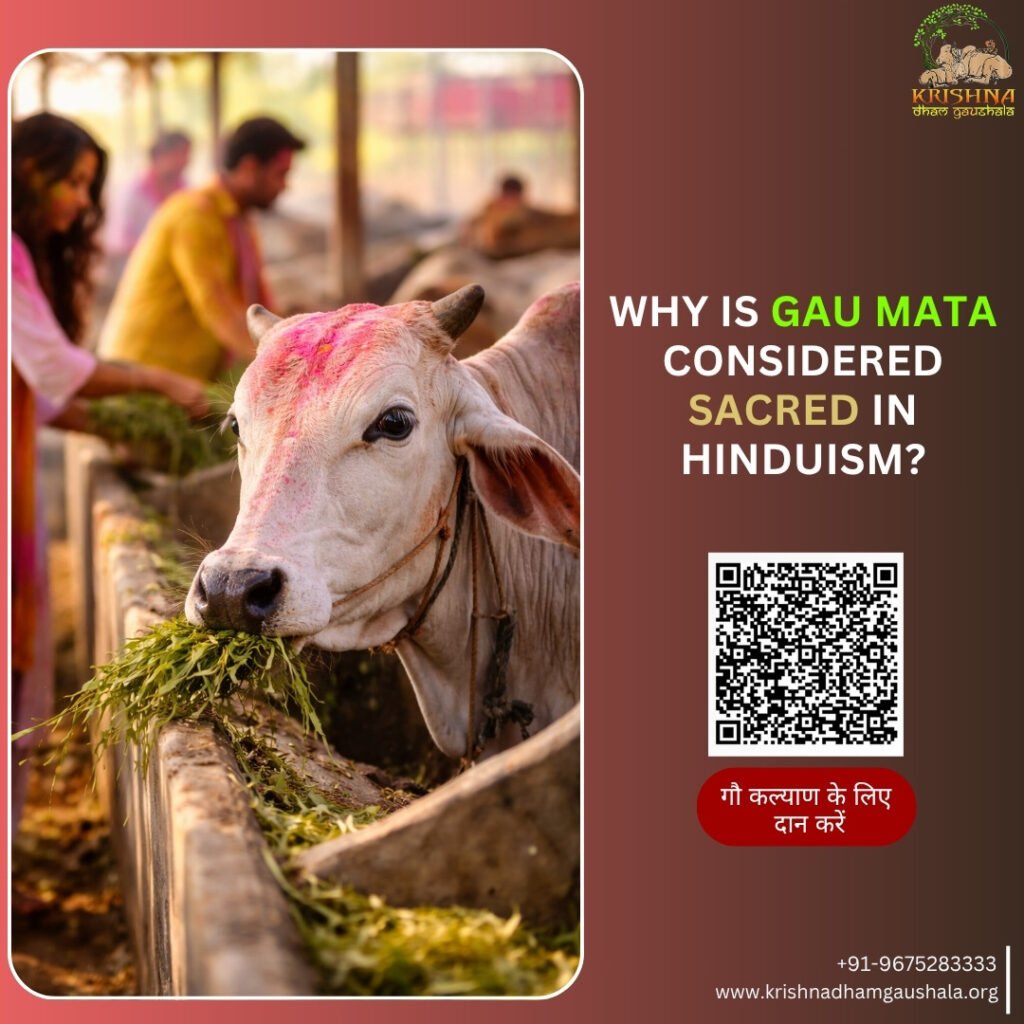Sacred Gau Mata