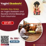 Yogini Ekadashi