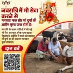 Donate for Cows on Navratri