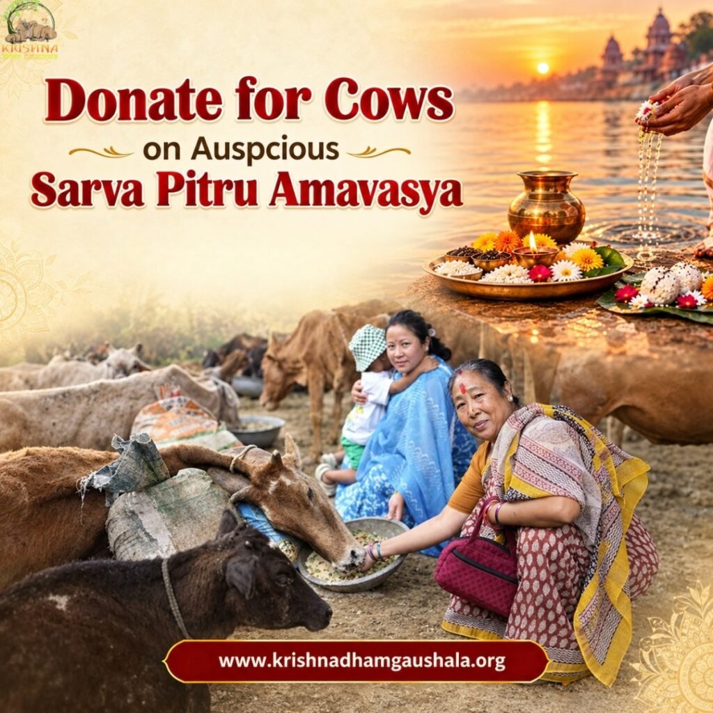 Donate for Cows on Sarva Pitru Amavasya