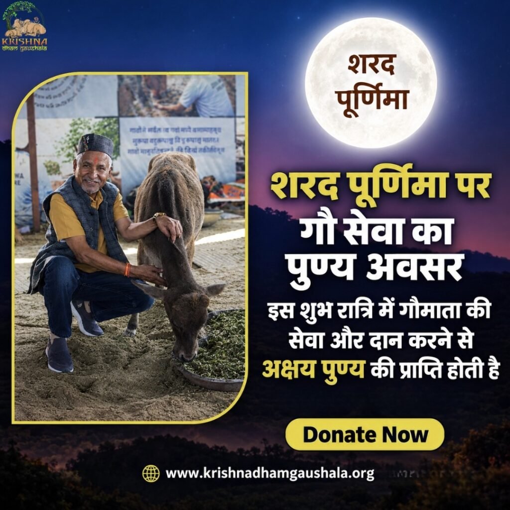 Donate on Sharad Purnima