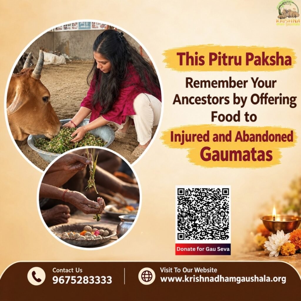 Pitru Paksha Donation