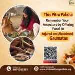 Pitru Paksha Donation